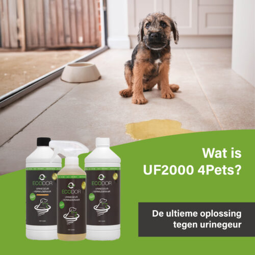 Afbeelding met een puppy die naast een plas urine op de vloer zit, met onderaan drie flessen UF2000 4Pets en de tekst “Wat is UF2000 4Pets?”.