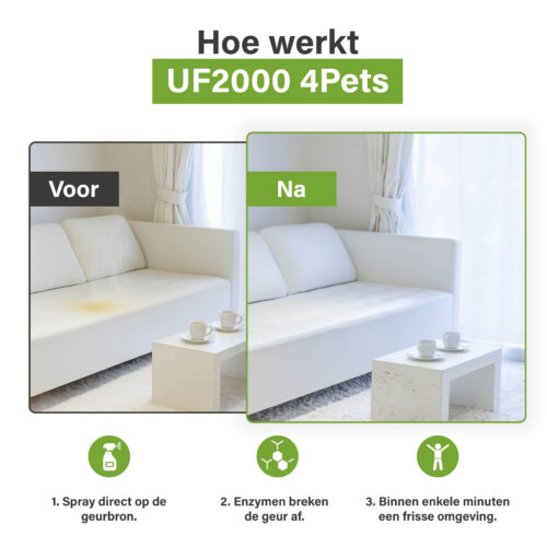 Afbeelding met een voor-en-na vergelijking van een bank met een urinevlek en hetzelfde meubel na behandeling met UF2000 4Pets, inclusief stappen: sprayen, enzymatische afbraak en een frisse omgeving.